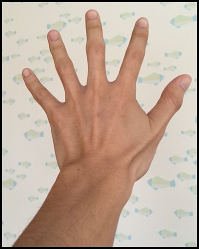 ロックのジャンルでポーズやサインが違う？指や手の形に深い意味が12